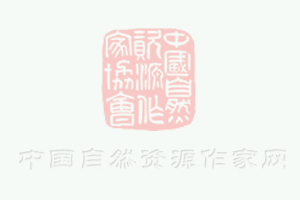 微小信號(hào)放大器檢測(cè)應(yīng)用設(shè)計(jì)